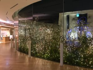 ニコエ、nicoe、イルミネーション