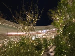 ニコエ、nicoe、イルミネーション