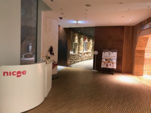 ニコエ、nicoe、イルミネーション