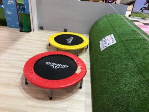 ラフレ初生