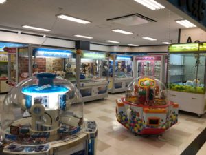 ラフレ初生