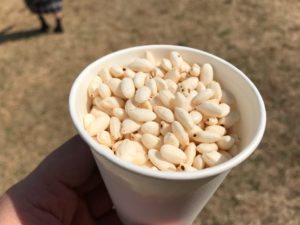 浜松、北区deまつり