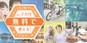 デイリーPlus