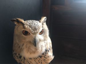 ぬくもりの森