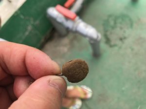 浜名湖フィッシングリゾート