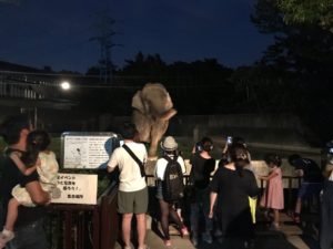 浜松動物園ナイトズー