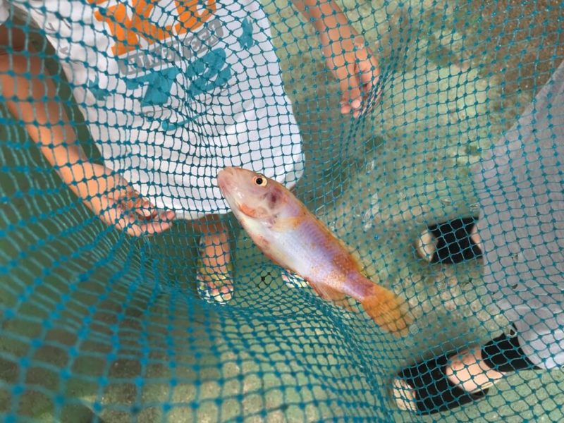 浜名湖フィッシングリゾート
