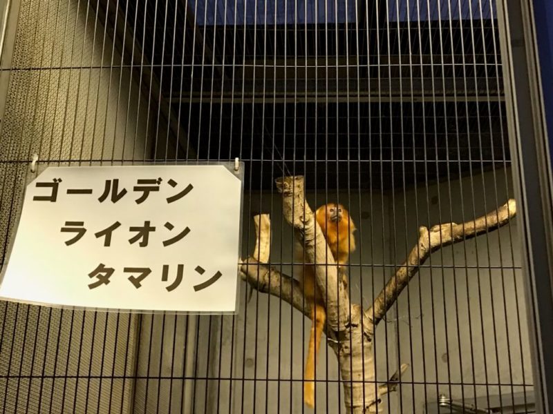 浜松動物園