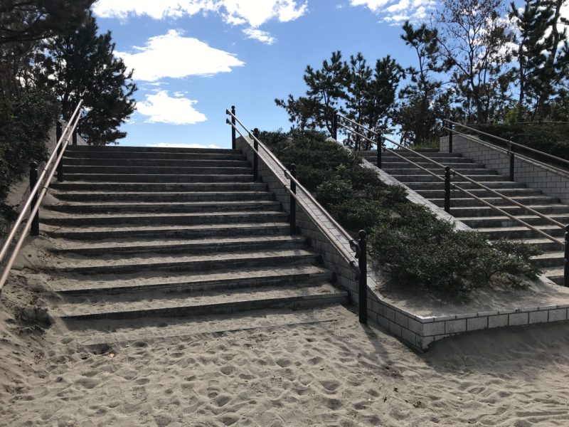 中田島砂丘