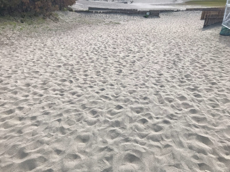 中田島砂丘