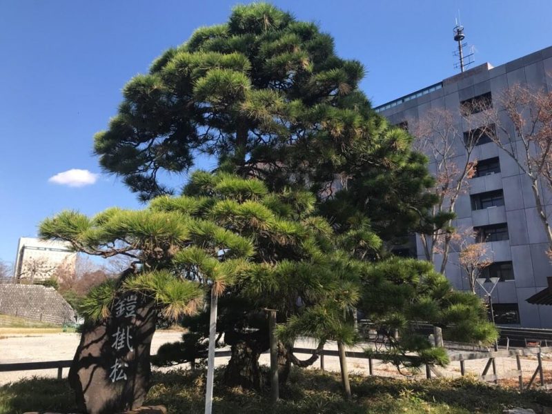 浜松城