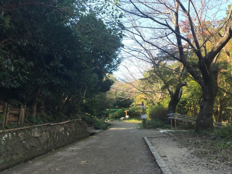 浜松城公園